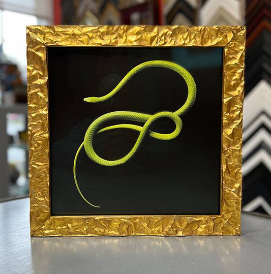 Snake artwork in AMCI Regence gold frame with textured finish, Museum Glass, and spacers.