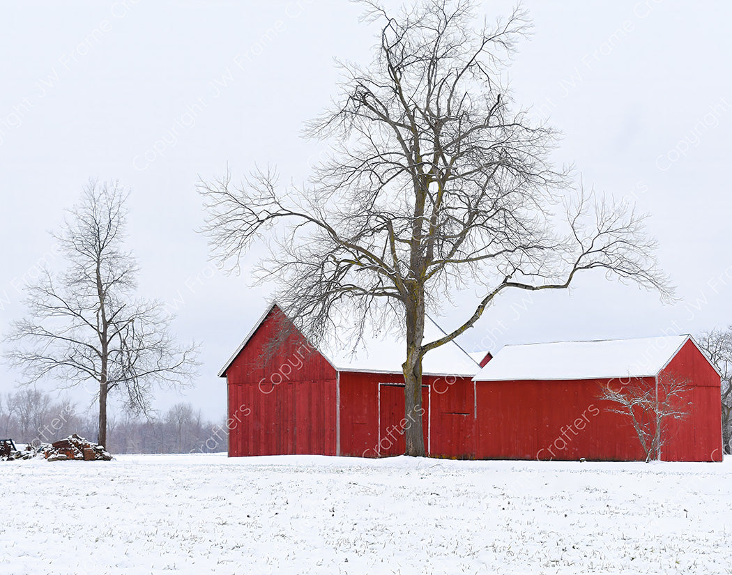Winter Solitude at Horton Farm — South Glastonbury, Connecticut (January 2021)