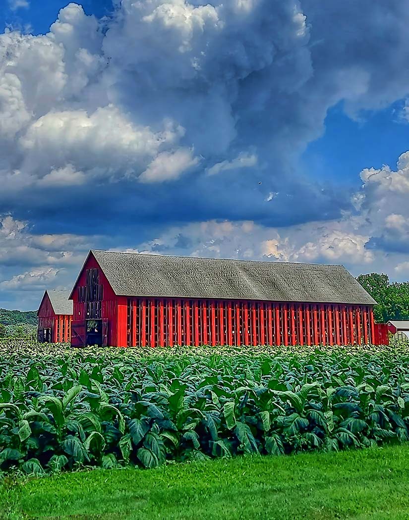 Red barn in a field with a blue sky and clouds