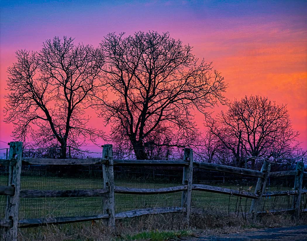 Wooden fence with trees against a vibrant pink and purple sunset sky