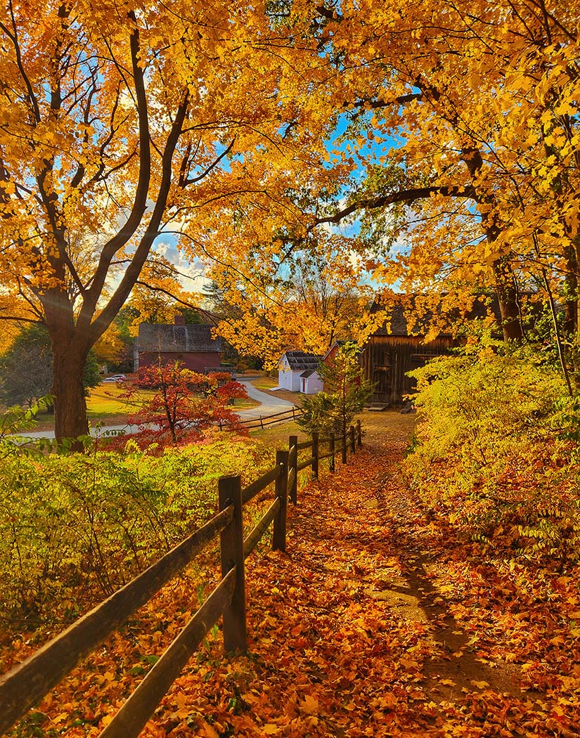 Golden Hour — South Glastonbury, Connecticut (2024)