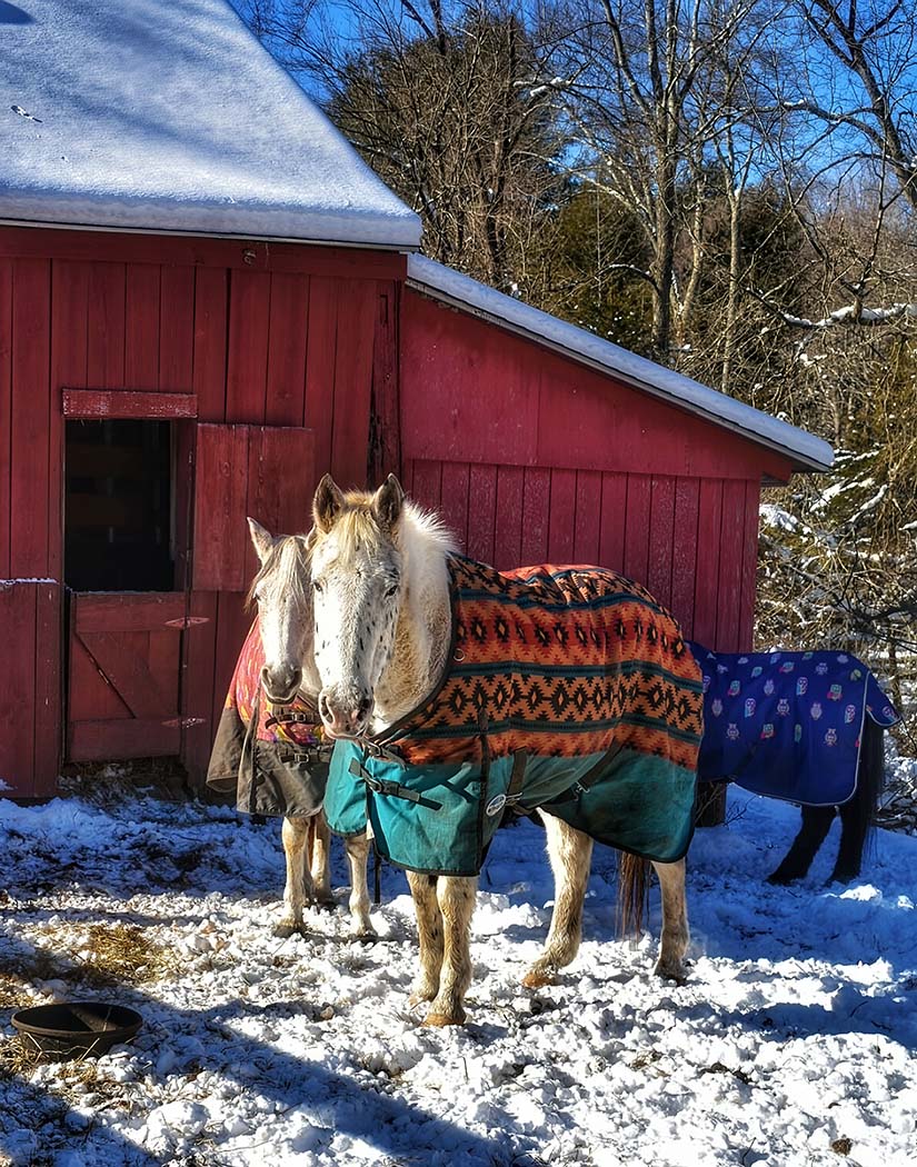 Blankets and Barnwood — Portland, Connecticut (2023)