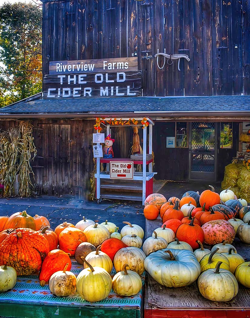 Riverview Farms The Old Cider Mill with pumpkins in front