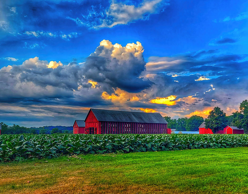 Red barn in a field with a dramatic sky