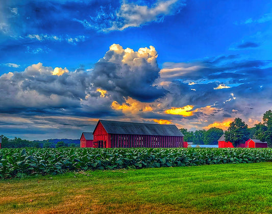 Red barn in a field with a dramatic sky