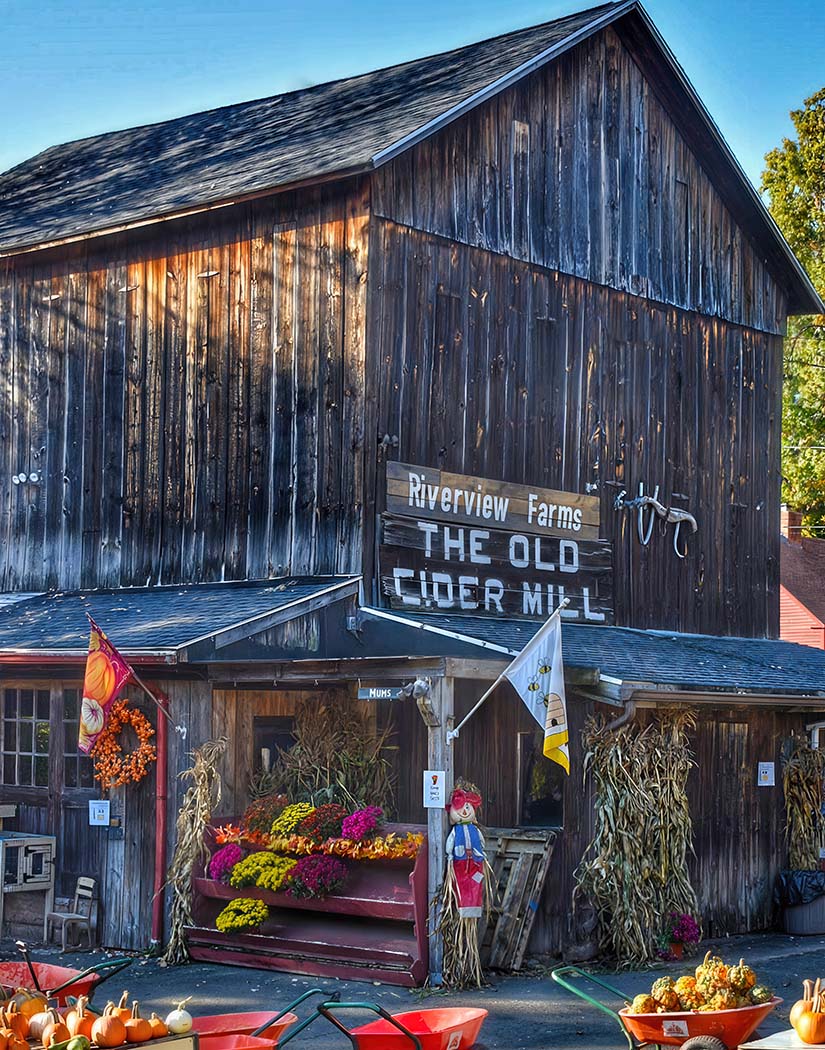 Old wooden building with 'Riverview Farms The Old Cider Mill' sign, surrounded by autumn decorations.