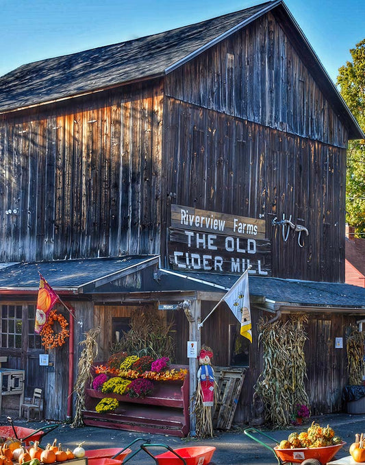 Old wooden building with 'Riverview Farms The Old Cider Mill' sign, surrounded by autumn decorations.
