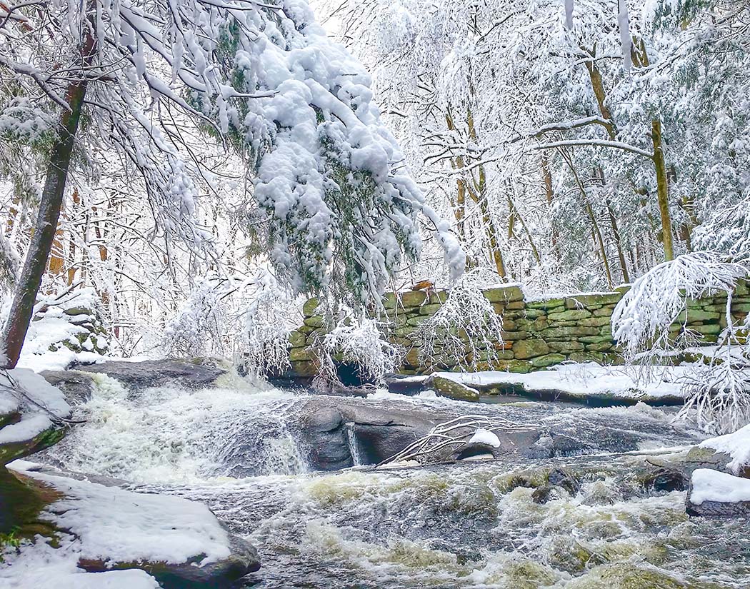 Frozen waterfall in a snowy forest with ice-covered trees