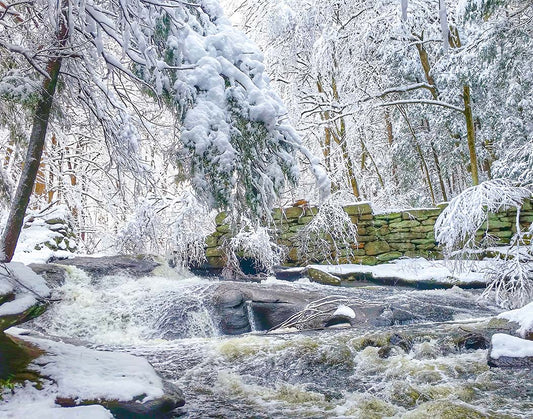 Frozen waterfall in a snowy forest with ice-covered trees