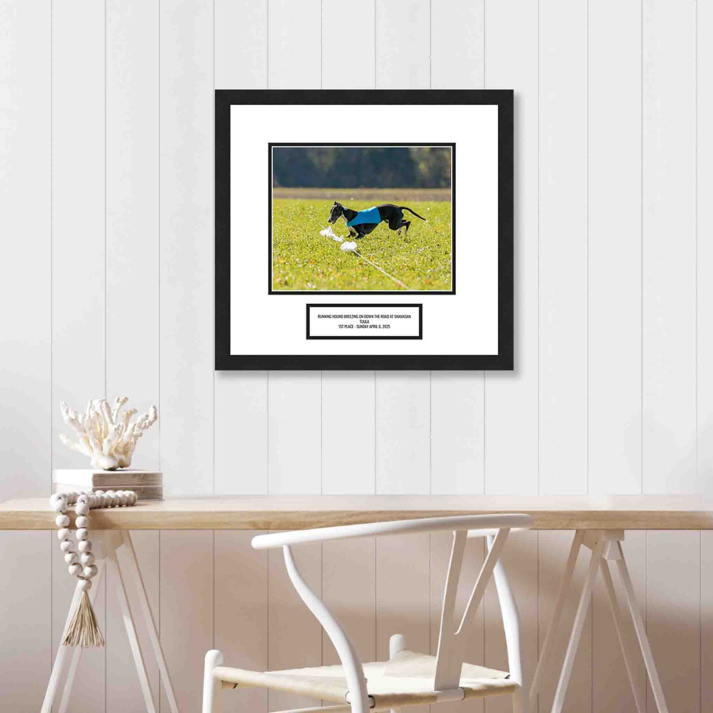 Framed picture of a dog running on grass with a white wall and table in the background