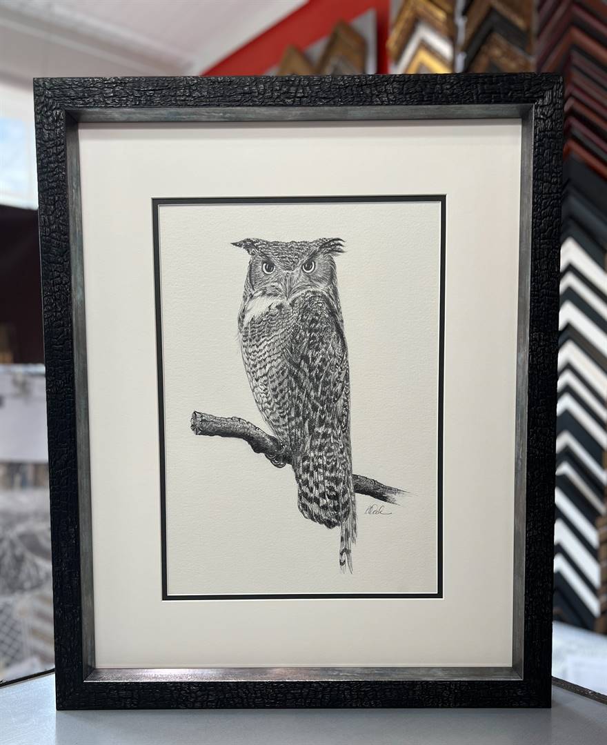 Original Owl Pencil Drawing