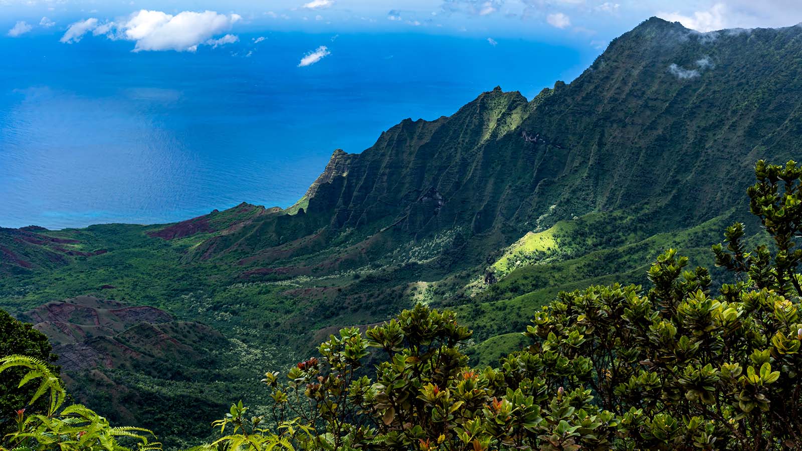 Hawaii – JW Frame Crafters