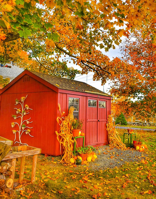 Red shed with autumn decorations including pumpkins and fall foliage.