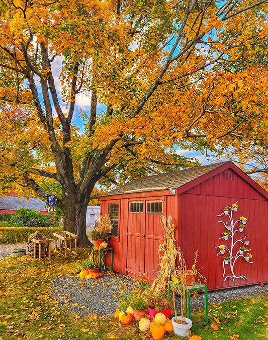 Red shed with autumn decorations in a garden setting