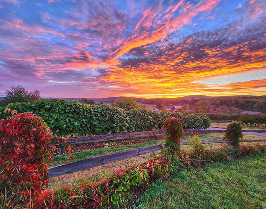First Light - South Glastonbury, Connecticut (2025)