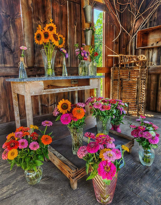 Spring Flowers — Glastonbury, Connecticut (2024)