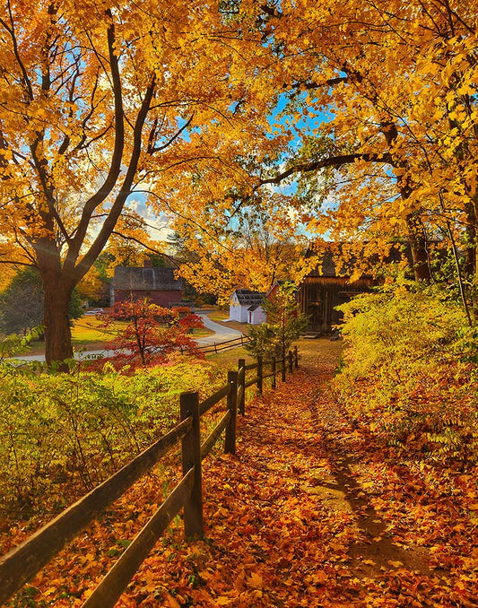 Golden Hour — South Glastonbury, Connecticut (2024)
