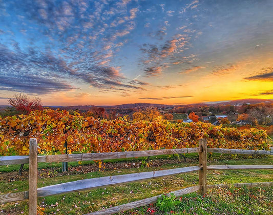 Autumn Sunrise — South Glastonbury, Connecticut (2024)