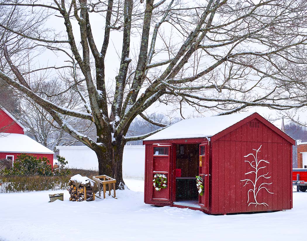 Winter’s Welcome — South Glastonbury, Connecticut (2024)
