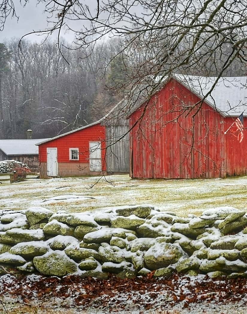 Winter at the Homestead — Portland, Connecticut (2023)