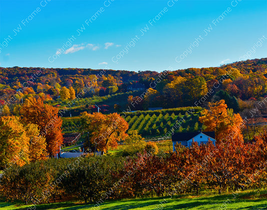 Autumn at Belltown Hill Orchards — South Glastonbury, Connecticut (October 2022)