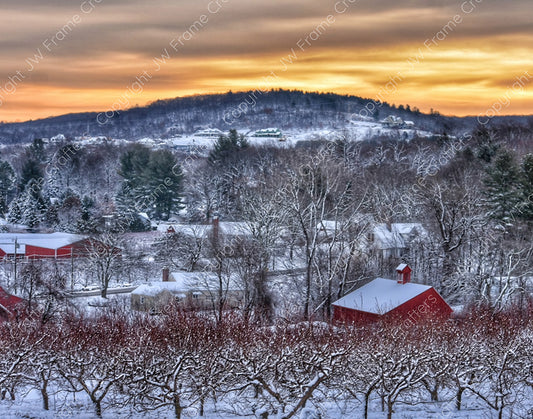 Winter at Belltown Hill Orchards — South Glastonbury, Connecticut (January 2023)