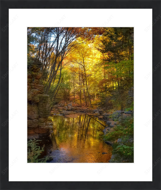 Framing Local Pickup Only