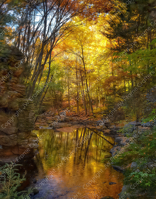 Golden Glow at Cotton Hollow — South Glastonbury, Connecticut (October 2021)