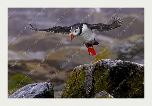 Floating - Limited Edition Photographic Print
