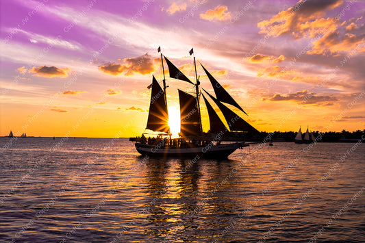 Mallory Square Sunset Sail - Photographic Print